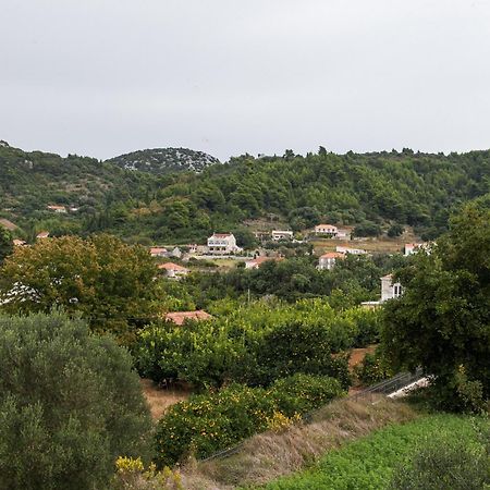 Apartments Ana Lopud Rom bilde