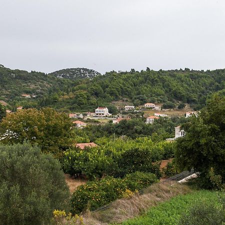Apartments Ana Lopud Rom bilde