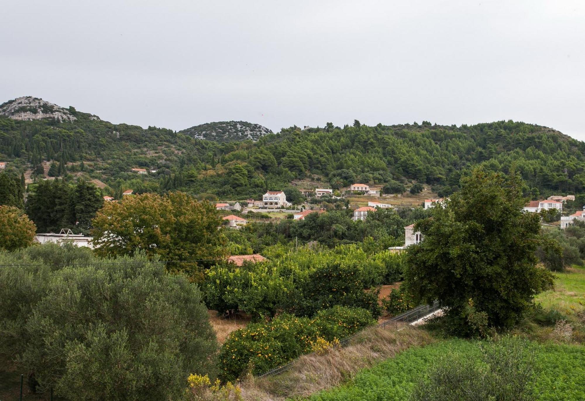 Apartments Ana Lopud Rom bilde
